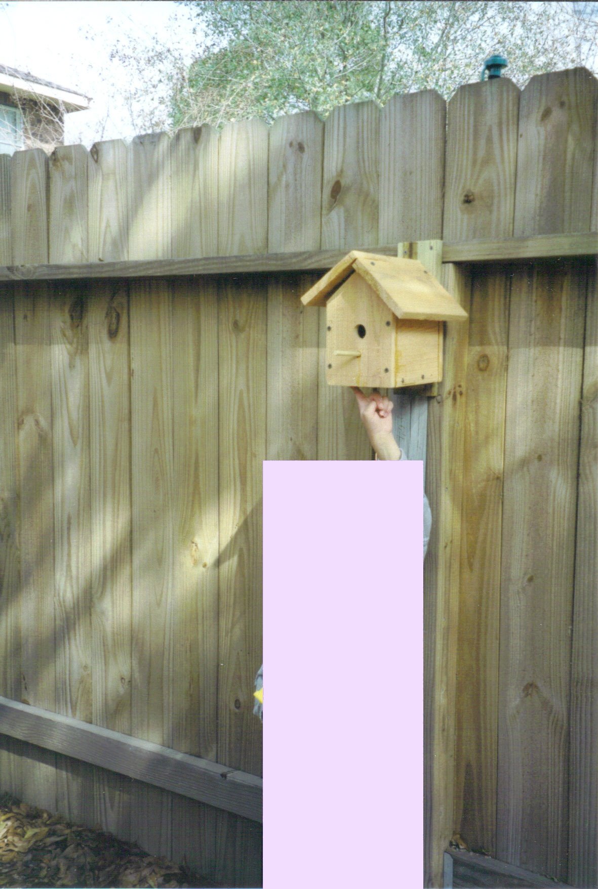Little Birdart standing underneath a birdhouse outside of the "birdhaus." Most of my 5-year-old self's body has been censored, as she would prefer not to be seen.